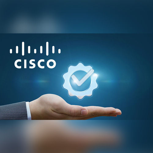 CISCO AMC Service Provider Suppliers In Bagpat